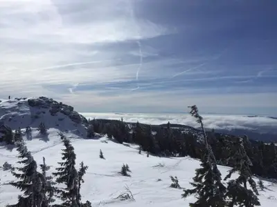 Schweizer Häusl