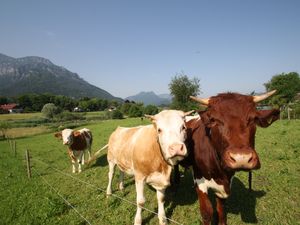 72094-Ferienwohnung-3-Bayerisch Gmain-300x225-3