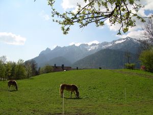 72093-Ferienwohnung-5-Bayerisch Gmain-300x225-2