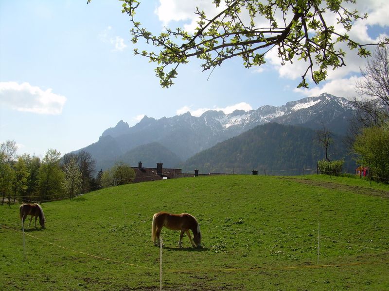 72094-Ferienwohnung-3-Bayerisch Gmain-800x600-2