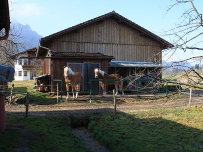 Ferienwohnung für 3 Personen (50 m²) in Bayerisch Gmain 10/10