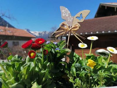 Ferienwohnung für 3 Personen (50 m²) in Bayrischzell 4/10