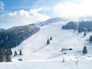 Ferienwohnung für 4 Personen (45 m²) in Bayrischzell