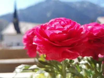 Ferienwohnung für 2 Personen (40 m²) in Bayrischzell 2/10