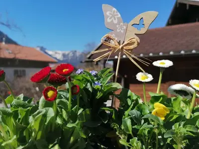 Ferienwohnung für 2 Personen (40 m²) in Bayrischzell 4/10