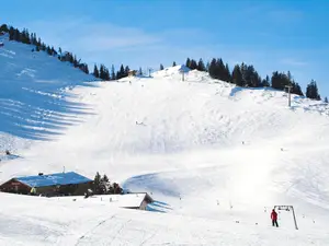 Ferienwohnung für 5 Personen (45 m²) in Bayrischzell