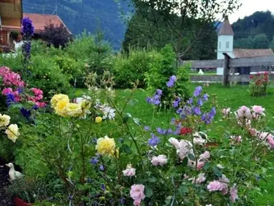 Ferienwohnung für 4 Personen (45 m²) in Bayrischzell 2/10