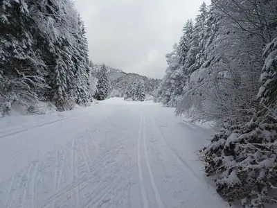 Ferienwohnung für 5 Personen (130 m²) in Bayrischzell 3/10