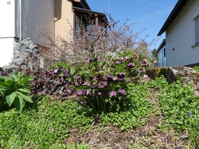 Ferienwohnung für 6 Personen (86 m²) in Beerfelden 3/10