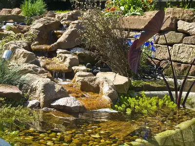 Teich im Garten Teich im Garten