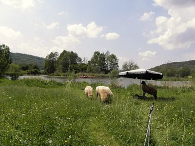 Kottingwörther Altmühlidylle