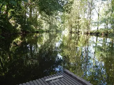 Ferienwohnung für 4 Personen (70 m²) in Bekdorf 5/10