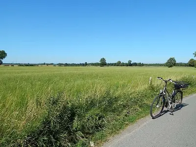 Ferienwohnung für 4 Personen (70 m²) in Bekdorf 9/10