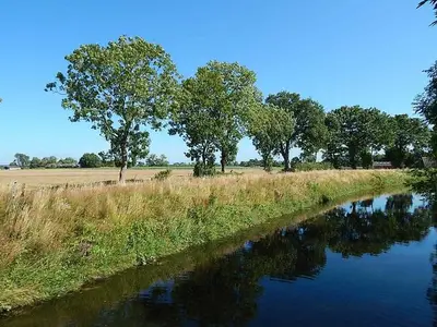 Ferienwohnung für 4 Personen (70 m²) in Bekdorf 10/10