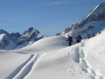Ferienwohnung für 5 Personen (56 m²) in Belalp 2/10