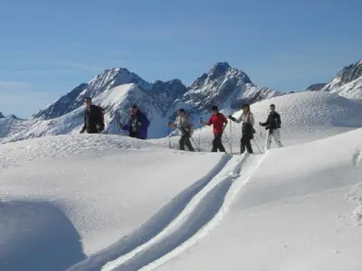 Ferienwohnung für 5 Personen (56 m²) in Belalp 3/10