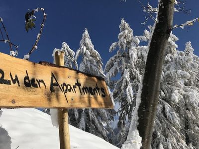 Ferienwohnung für 4 Personen (50 m²) in Bellwald 7/10