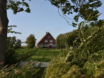 Haus in den Wiesen