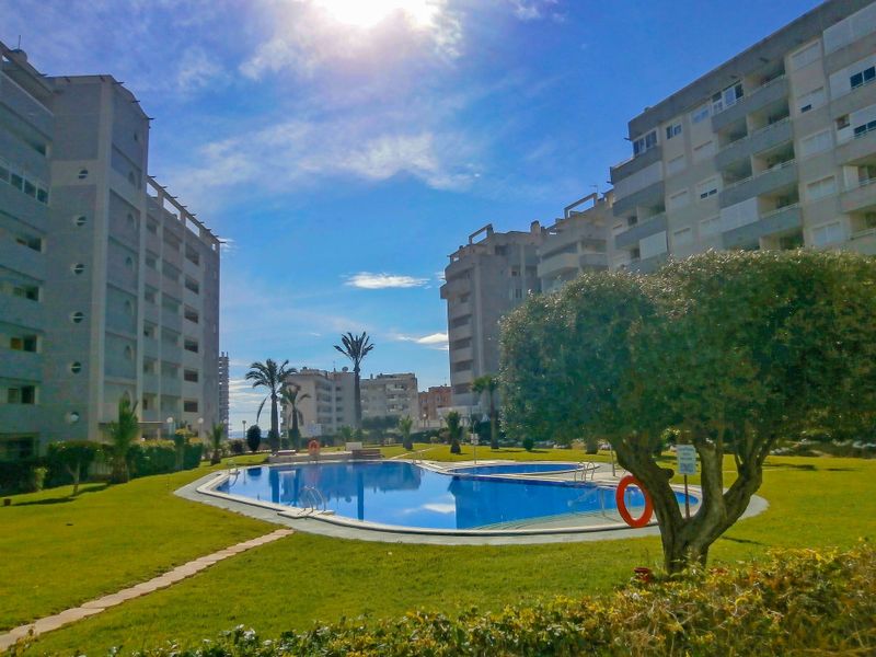 23838132-Ferienwohnung-4-Benidorm-800x600-0