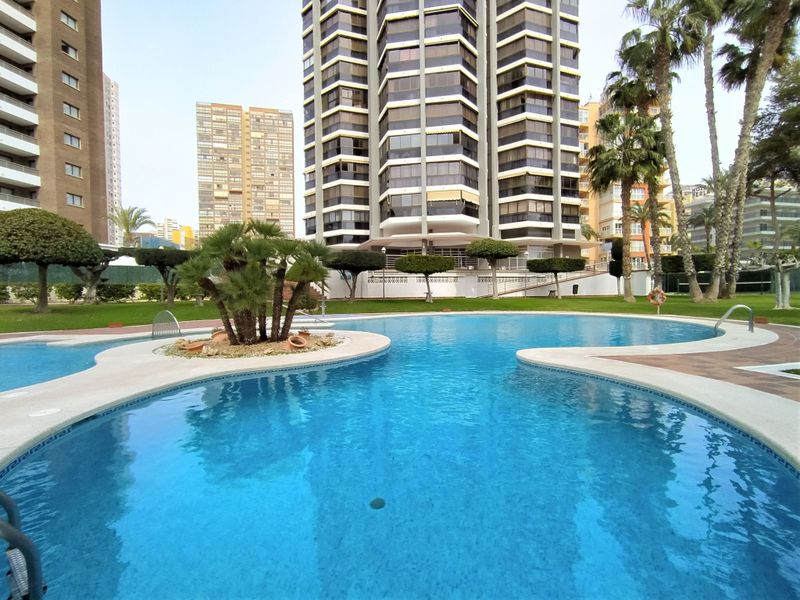 23840346-Ferienwohnung-3-Benidorm-800x600-0