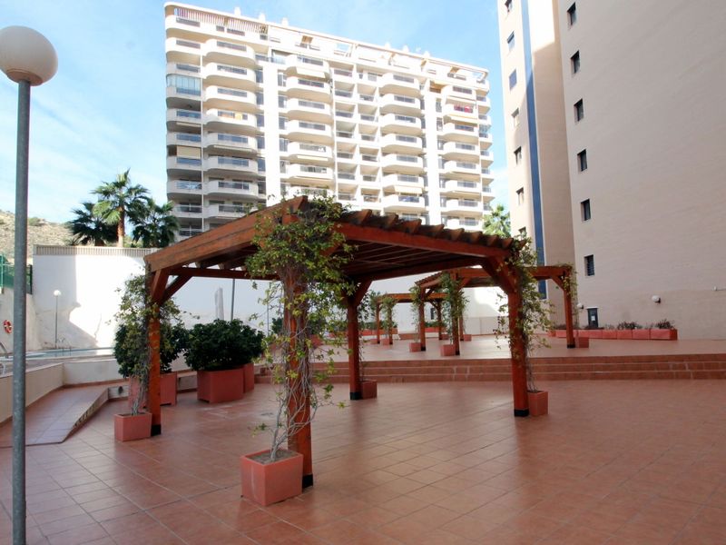 23867949-Ferienwohnung-4-Benidorm-800x600-2