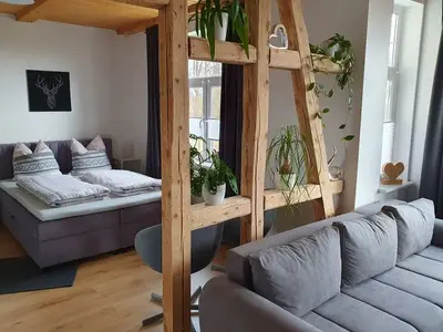 Ferienwohnung für 3 Personen (45 m²) in Benneckenstein 1/10