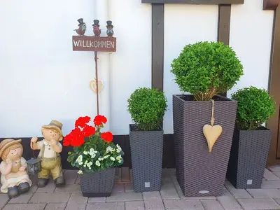 Ferienwohnung für 6 Personen (70 m²) in Benneckenstein 2/10