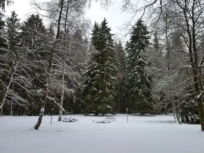 Ferienwohnung für 7 Personen (90 m²) in Benneckenstein 10/10