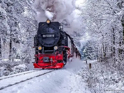 Ferienwohnung für 5 Personen (60 m²) in Benneckenstein 1/10