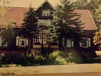 Ferienwohnung für 5 Personen (60 m²) in Benneckenstein 10/10