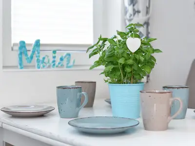 Ferienwohnung für 4 Personen (48 m²) in Esens 8/10