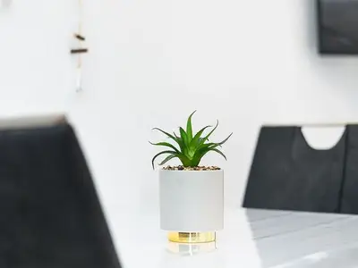 Ferienwohnung für 2 Personen (35 m²) in Bensersiel 8/10