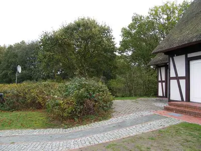 Ferienwohnung für 6 Personen (75 m²) in Benz (Usedom) 5/10