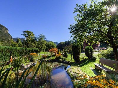 Garten mit Teich