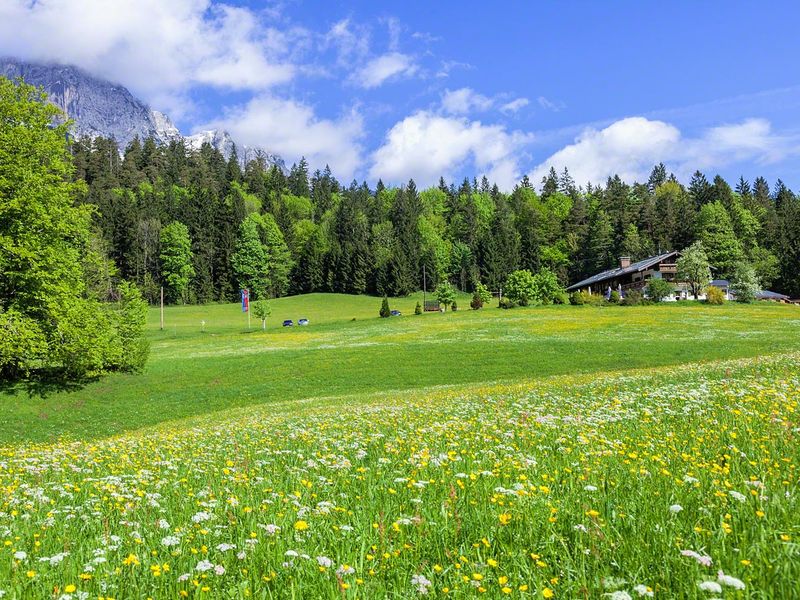 19199647-Ferienwohnung-5-Berchtesgaden-800x600-2