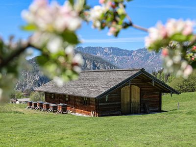 Ausblick vom Garten