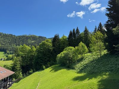 Ausblick Fenster