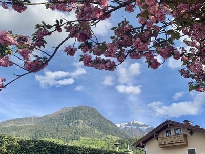 Blick vom Kurgarten auf das Kehlsteinhaus