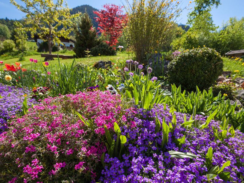 91827-Ferienwohnung-2-Berchtesgaden-800x600-2