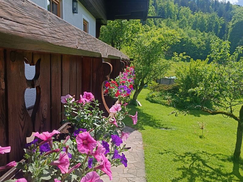 18790885-Ferienwohnung-2-Berchtesgaden-800x600-2