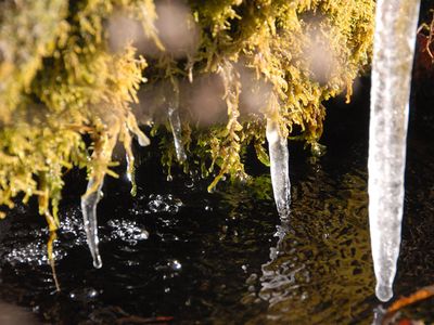 Eiszapfen am Brünnlein