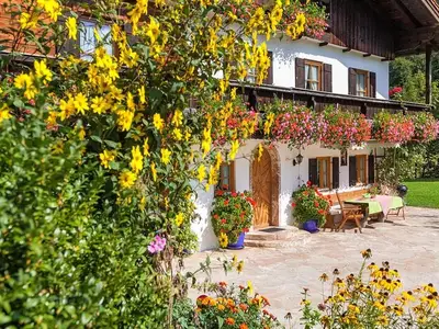 Hausansicht mit Strauch