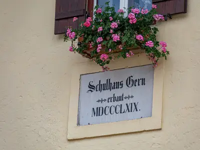 Schild