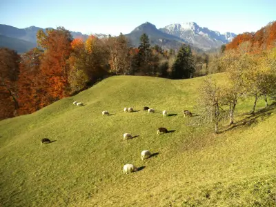 Aussicht