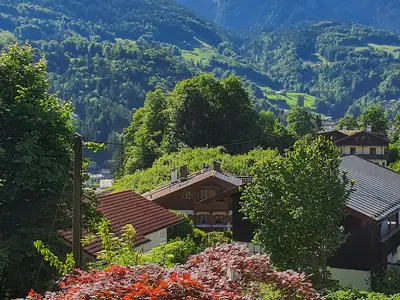 Bergblick von Terrasse