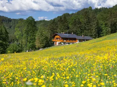 Haus mit Wiese