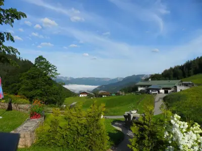 Ausblick