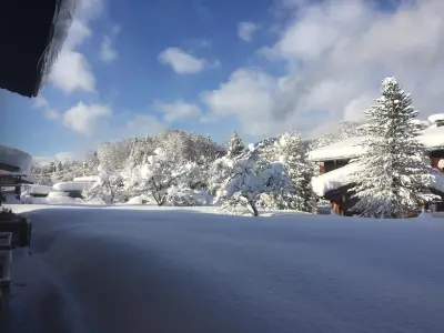 Winter