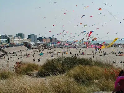 beach