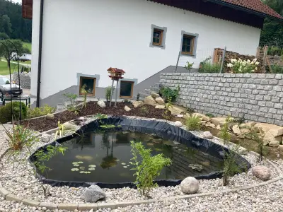 Teich